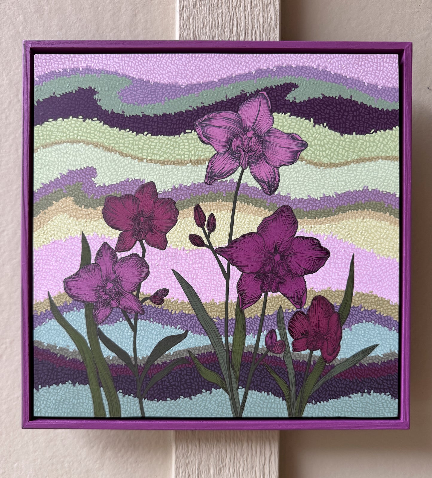 Nocturne Orchids