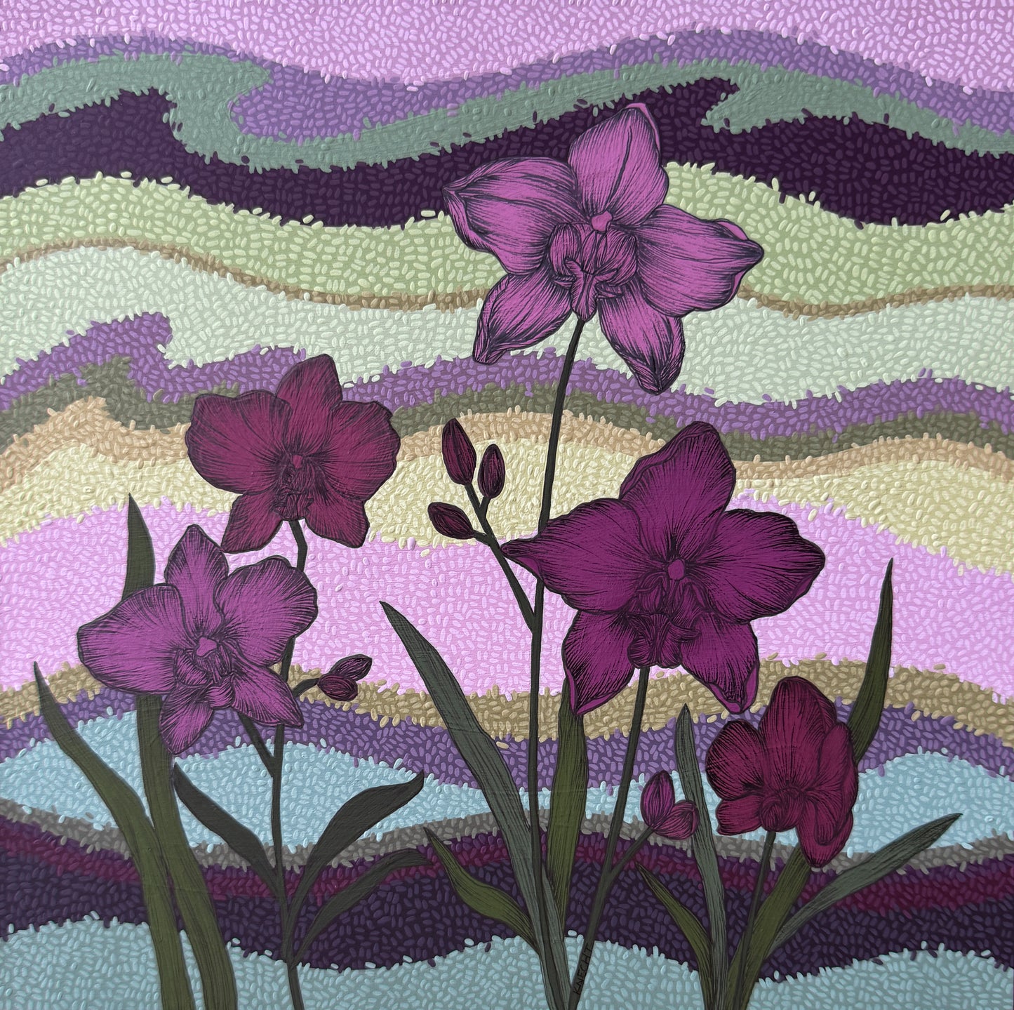 Nocturne Orchids