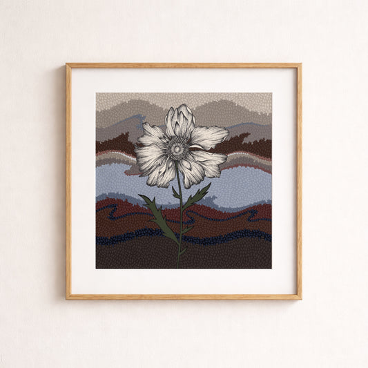 Waking Anemone Print